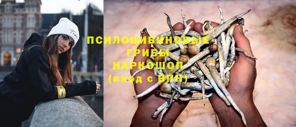 спайс Абаза